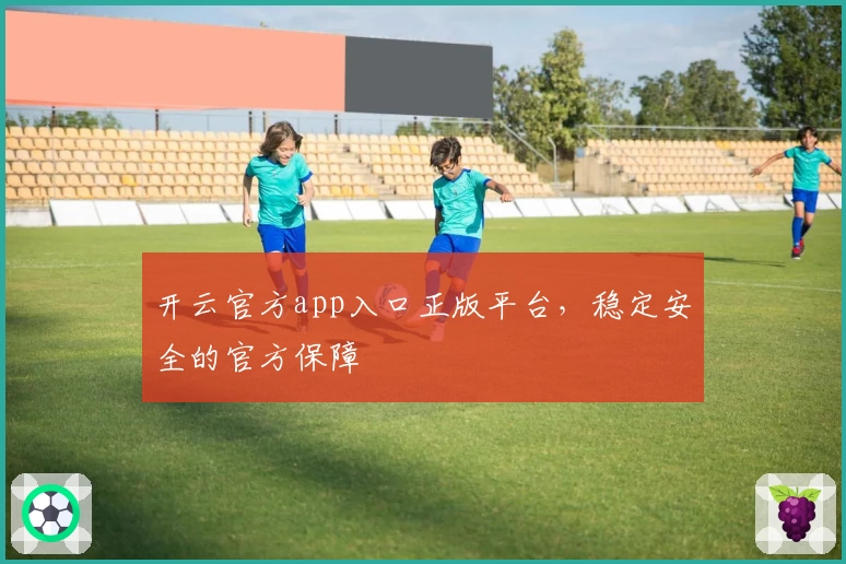 开云官方app入口正版平台,稳定安全的官方保障