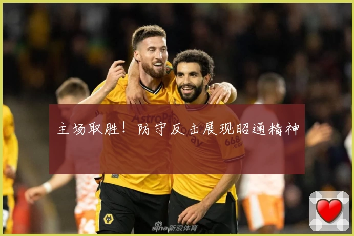 主场取胜！防守反击展现昭通精神