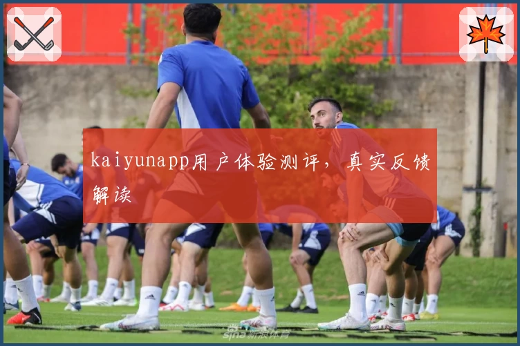 kaiyunapp用户体验测评，真实反馈解读